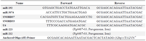 <p>Table 2. Primer sequences used in real-time RT-PCR analysis</p>
<p>* V= G, A, C; N= G, A, T, C.</p>
