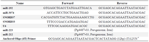 <p>Table 2. Primer sequences used in real-time RT-PCR analysis</p>
<p>* V= G, A, C; N= G, A, T, C.</p>
