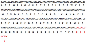 <p>Figure 1. Nucleotide sequence of the traceable C426 avimer gene and its deduced amino acid sequence.</p>