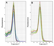 <p>Figure 1. A) The melting curve of snRNA-U6 and B) miR-133a-3p A on the basis of temperature (horizontal axis) and diffenential&nbsp; fluerescent signal (vertical axis) received from the device.</p>
