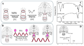 <p>Figure 1. A) HBCD synthesis by anionic ring opening polymerizations. B) HBCD-RNA synthesis by host-gust interactions between cavity of HBCD polymers and RNA bases. C) FTIR spectra of&nbsp;&beta;-CD and HBCD.&nbsp;D)&nbsp;<sup>1</sup>H-NMR spectra of HBCD in the D<sub>2</sub>O as solvent.</p>