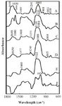 <p>Figure 4. Intensity ratio variations for various RNA in-plane vibrations as a function of HBCD concentration. Intensity ratios for RNA bands at 1698 (G, U), 1650 (U,G,A,C), 1606 (A), 1489 (C,G) and 1241 (PO2 asymmetric) referenced to RNA band at 969 <em>cm</em><sup>-1</sup>.</p>