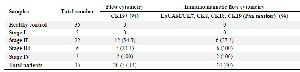 <p>Table 2. CTCs detection at different stages of breast cancer</p>