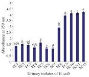 <p>Figure 1. The biofilm formation ability of UPEC isolates. Data are expressed as mean&plusmn;standard deviation (n=3). Different letters indicate significant differences between <em>E. coli</em> isolates based on Tukey&rsquo;s test (p&lt;0.05).</p>