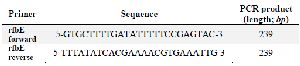 <p>Table 1. Primer sequences used in this experiment</p>