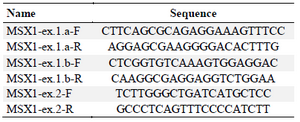 <p>Table 1. <em>MSX1</em> designed primers</p>