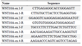 <p>Table 3. WNT10A designed primers</p>