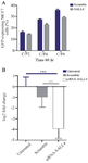 <p>Figure 4. A) Transfection efficiency using the polyplexes prepared with GFP-expressing plasmid (<em>SALL4</em> siRNA and scramble siRNA) and PEI25G10C50 at different C/P concentrations. The number of GFP-expressing cells was determined as the mean value from 3 measurements. B) The relative expression of <em>SALL4</em> in untreated, scrambled, and siRNA-<em>SALL4</em> transfected MCF-7 cells. The expression of <em>SALL4</em> significantly decreased in the cells transfected with <em>SALL4</em>- siRNA compared to either the cells transfected with scrambled or untreated cells. The <em>SALL4</em> expression in the scrambled group was not significantly different compared to untreated group. The data was normalized considering the untreated control group (log2). n=3 or 4. **: p&lt;0.01, ***: p&lt;0.001.</p>