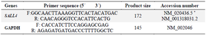 <p>Table 1. The sequences of the primers used for <em>SALL4</em> and <em>GAPDH</em></p>
<p>* Primers were designed to contain two <em>SALL4</em> isoforms.</p>
