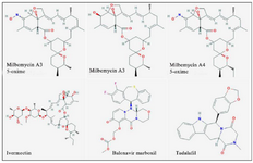 <p>Figure 1. Chemical structures of the study ligands.</p>