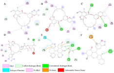 <p>Figure 5. Interactions (2D-model) of ligands with the RNA dependent RNA polymerase of the SARS-CoV-2 (COVID-19) based on hydrogen bond style visualized by Discovery Studio Visualizer v20.1.0.19295; A) MMA35O; B) MMA3; C) MMA45O; D) IMT; E) BM; F) TF.</p>