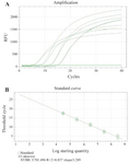 <p>Figure 6. Titer estimation of retroviral vector using real-time RT-PCR. Serial dilutions of pAlb vector were prepared. A) Amplification plot of samples with each dilution was represented in order from left to right on the graph. B) Standard curve generated from amplification plot is shown in A. Each sample was performed in duplicate and is represented as a dot. Overlapping dots are present in most of the dilutions illustrating the tight correlation within each dilution. Correlation coefficient for Alb and Gag was 103.3 and 99.5%, respectively.</p>