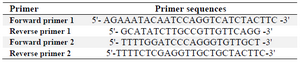 <p>Table 1. Real time primer set (1), Cloning primer set (2)</p>