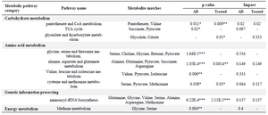 <p>Table 2. The result of pathway analysis using Metaboanalyst3, for Alzheimer&rsquo;s disease and also lavender-treated groups. The pathways with p-value&lt;0.05 and impact value of more than 0 were selected.(*p&lt;0.05, **p&lt;0.01, ***p&lt;0.001)</p>