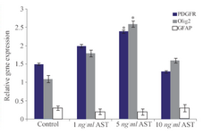 <p>Figure 6. Comparative analysis of Olig2, PDGFR&alpha; and GFAP markers using real time RT-PCR. Quantification was done in oligodendro-cytes after normalization to GAPDH. The expression levels of Olig2 and PDGFR&alpha; increased significantly in 5 <em>ng/ml</em> AST treated group compared to control group (p&lt;0.05).</p>