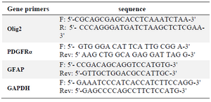 <p>Table 1. Primer sequences used for real-time PCR analysis</p>