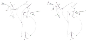 <p>Figure 1. Computerized modeling of AIRE mRNA structures of two haplotype variants in exon 7. A) AGCG allelic variant corresponding to the wild-type genotype; B) AGGG allelic variant corresponding to the C8723G SNP.</p>