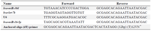 <p>Table 2. Primer sequences used in RT-qPCR analysis</p>
<p>* V= G, A, C; N= G, A, T, C</p>