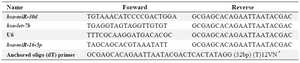 <p>Table 2. Primer sequences used in RT-qPCR analysis</p>
<p>* V= G, A, C; N= G, A, T, C</p>