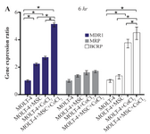 <p>Figure 4A. Real Time-PCR data for MOLT-4 cells MDR1, MRP, and BCRP genes expression under CoCl<sub>2</sub> and hypoxia with and without MSC in different time courses. (A) MDR1, MRP and BCRP genes expression levels were analyzed by Real Time-PCR in MOLT-4 cells under CoCl<sub>2</sub> (100 <em>&micro;M</em>) with MSC. RNA was extracted at 6 <em>hr</em> following 100 <em>&micro;M</em> CoCl<sub>2</sub> exposure. Data is presented as means&plusmn;SD of three independent experiments. * Statistically significant difference compared to the respective data of control (untreated cells), p&lt;0.05.</p>