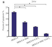 <p>Figure 5B. Recognition of apoptosis in MOLT-4 cells co-cultured with MSC treated with CoCl<sub>2</sub>. (B) Apoptotic cells Percentage (de-monstrating phosphatidylserine externalization) induced by CoCl<sub>2</sub> (flow cytometry analysis, Annexin V-FITC/PI staining). MOLT-4 cells co-cultured with MSC were incubated with 100 <em>&micro;M</em> CoCl<sub>2</sub> for 24 <em>hr</em>. Data is presented as means&plusmn;SD of three independent experiments. * Statistically significant difference compared to the respective data of control (untreated cells), p&lt;0.05.</p>