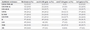 <p>Table 1. Results of antibiotic resistance and studied genes in 130 <em>K. pneumoniae</em> isolates</p>
<p>K: Kanamycin; TOB: Tobramycin; GM: Gentamicin; AK: Amikacin.</p>