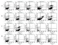 <p>Figure 2. Early apoptosis assayed using Annexin V-FITC/PI by flow cytometry. The bottom of flow cytometry graphs showed percentage of early apoptosis ASCs. Annexin V-FITC at x-axis and PI at y-axis. Early apoptosis cells observed in right bottom quadrant (Annexin V+/PI -).</p>
<ol type="A">
<li>Early apoptosis observed in ASCs treated with liposomal soybean phosphatidylcholine extract (LSPCE) 1000 <em>ppm</em>.</li>
<li>Percentage of early apoptosis observed in ASCs treated with liposomal purified PC (LPPC) 1000 <em>ppm</em>.</li>
<li>Percentage of early apoptosis observed in ASCs treated with commercial PC+SD 1000 <em>ppm</em>. After 6 and 8 <em>hr</em> induction number of cells reduced below 10,000 cells (<sup>*</sup>: 4890 cells and <sup>#</sup>: 916 cells).</li>
<li>Percentage of apoptosis observed in ASCs treated with SD 400 <em>ppm</em> (equals with SD concentration at commercial solution PC+SD 1000 <em>ppm</em>).</li>
</ol>