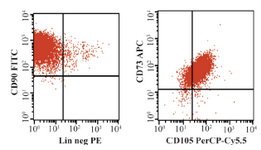 <p>Supplement materials: Expression of mesenchymal cell surface markers. Left: cells with positive CD90; Right: cells with positive CD73 and CD105.</p>