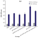 <p>Figure 4. Analysis of the total IgG antibodies in pooled sera of mice.</p>
<p>The sera were collected three weeks after the last vaccination and seven weeks after the challenge. Results are expressed as mean of the OD450 <em>nm</em>&plusmn;SD of the samples.</p>
