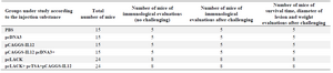 <p>Table 1. Classification of mice according to the injection substances</p>