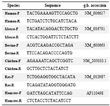 Table 2. Nestin species-specific primers

F=Forward, R=Reverse