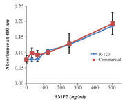 <p>Figure 6. Biological activity assay of recombinant BMP-2 expressed in bacterial inclusion body (R-120) in comparison with that of commercially available eukaryotic expressed protein. Absorbance at 410 nanometer was measured as a function of ALK activity for ATDC5 cells, following the induction by recombinant BMP-2.</p>