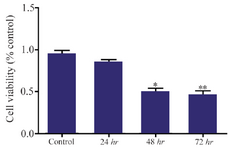 <p>Figure 4. Cell viability analysis of siRNA treated MKN45 cells by MTT assay. MKN45 cells were harvested 24, 48 and 72 <em>hr</em> after ErbB3 siRNA transfection and analyzed by MTT assay. Our results showed that ErbB3 downregulation reduced cell viability by 50%, 48 <em>hr</em> after treatment with siRNA compared to scrambled control (p-value=0.013).</p>