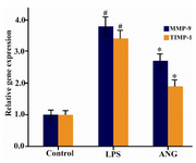 Figure 3. Analysis of MMP-9 and TIMP-1 gene expression by real-time PCR. 1.0×106 serum starved cells were seeded in 12-well plates and incubated either with LPS (100 ng/ml) or ANG (100 nmolar) for 12 hr. Gene expression data are expressed relative to control as mean±SEM (n=4). * p<0.05 vs. control, # p<0.01 vs. control. ANG=Angiotensin II, LPS = Lipopolysac-charide