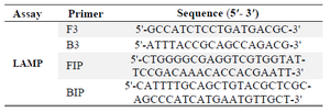 <p>Table 1. Primers used in this study</p>