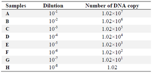 <p>Table 2. Concentration and number of DNA copy for each sample</p>