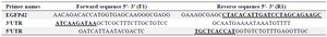 <p>Table 1. Primers designed for the amplification of UTRs and GFPds sequences</p>
<p>Designed primers for SOEing PCR: Bold and underline sequences are complementary to EGFPd2 sequence of the plasmid, pale sequence complementary to &beta;-globin UTRs.</p>