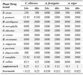 Table 4.  Antifungal activity of water phase expressed as Minimum Inhibitory Concentration MIC (µg/ml)