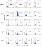 Figure 2. EGFP expression profile in myeloma cell lines transfected by different transfection reagents. Values presented in flow cytometry plots represent percent of EGFP expression