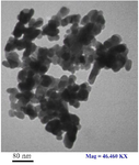 <p>Figure 1. Transmission Electron Microscopy (TEM) image of Zn oxide nanoparticles.</p>