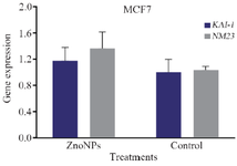 <p>Figure 3. Impact of ZnONPs on mRNA expression levels of <em>KAI-1</em> and <em>NM23</em> (b) genes in MCF-7 cells.</p>