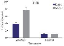 <p>Figure 4. Impact of ZnONPs on mRNA expression levels of <em>KAI-1</em> and <em>NM23</em> genes in T47D cells.</p>