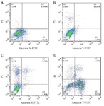<p>Figure 7. Flow cytometric analysis of annexin V-FITC/PI staining of T47D and MCF-7 cells treated with ZnONPs. Dot plots of annexin V/PI staining are revealed in (A) untreated MCF-7 cells, (B) untreated T47D, (C) MCF-7 cells and (D) T47D cells treated with ZnONPs</p>