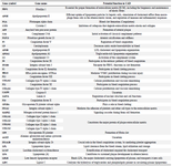 <p>Table 4. Plausible function of 38 prioritized candidate genes for CAD</p>