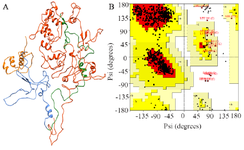 <p>Figure 4. A) Modeled tau protein with its four domains, B) Ramachandran plot of modeled tau protein.</p>