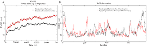 <p>Figure 6. A) Combined Root Mean Square Deviation of the phosphorylated and hyperphosphorylated tau protein with tubulin dimer. The phosphorylated tau with tubulin showing stable deviation plot is shown in black color. The hyperphosphorylated tau with tubulin displaying structural changes during simulation is shown in red color, B) Combined Root Mean Square Deviation of the phosphorylated and hyperphosphorylated tau protein with tubulin dimer. Overall domain mobility of the projection domains, proline rich domain, microtubule binding region and C-terminal region is displayed through plot.</p>