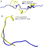 <p>Figure S3. As per the secondary structure comparison, modeled tau protein showed better structural resemblance in S3(A) and S3(B) with PDB ID:&nbsp; 5N5A and&nbsp; 4TQE, respectively.</p>