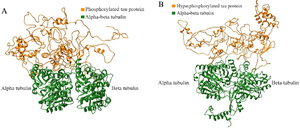 <p>Figure S4. The complete docked protein-protein complexes of PT-&beta;&alpha; and HPT-&beta;&alpha; are shown in ribbon file format as S4 (A) and S4 (B), respectively.</p>