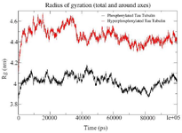 <p>Figure S5. Combined Radius of Gyration of the phosphorylated and hyperphosphorylated tau protein with tubulin. An increase in Rg is observed in hyperphosphorylated tau protein due to less compact structure.</p>