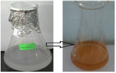 <p>Supplementary file. &beta;-sitosterol Mediated Silver Nanoparticles synthesis and colour transition.</p>